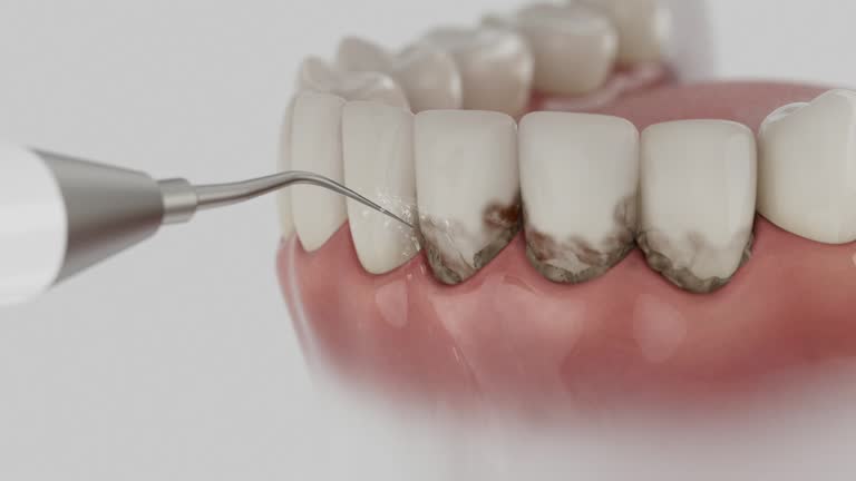Reliable Dental contractor in Southmont, NC by Dentist Open Now
